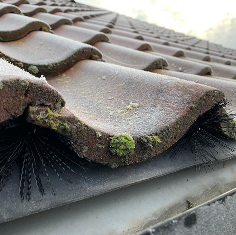 Pest Proofing Tiles Brush Strip After