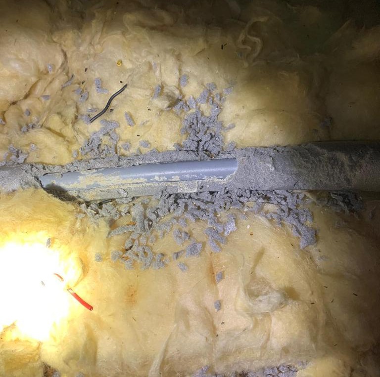 Mice chewing through cables