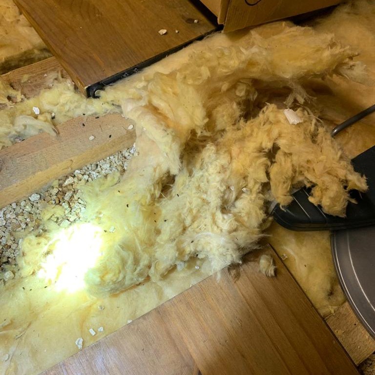 Mice Damaged Insulation