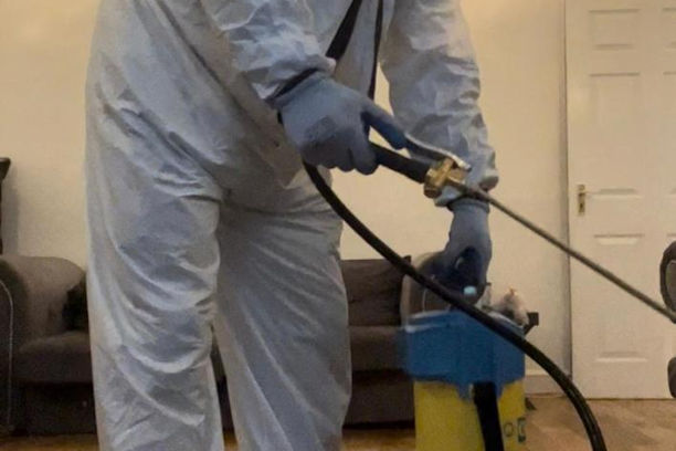 Bed Bug Spray Treatment